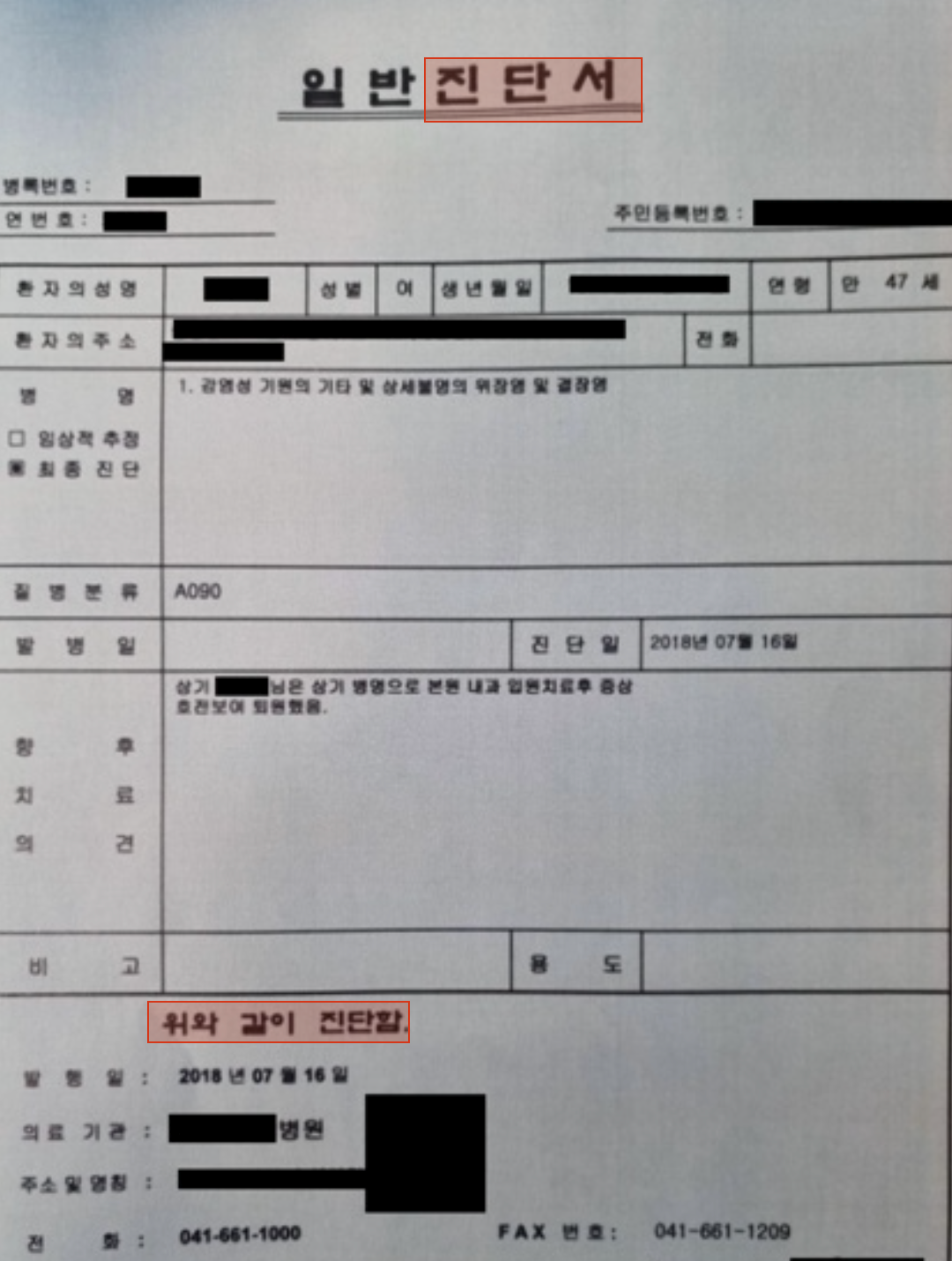 YOLOv12 객체 탐지 예시
